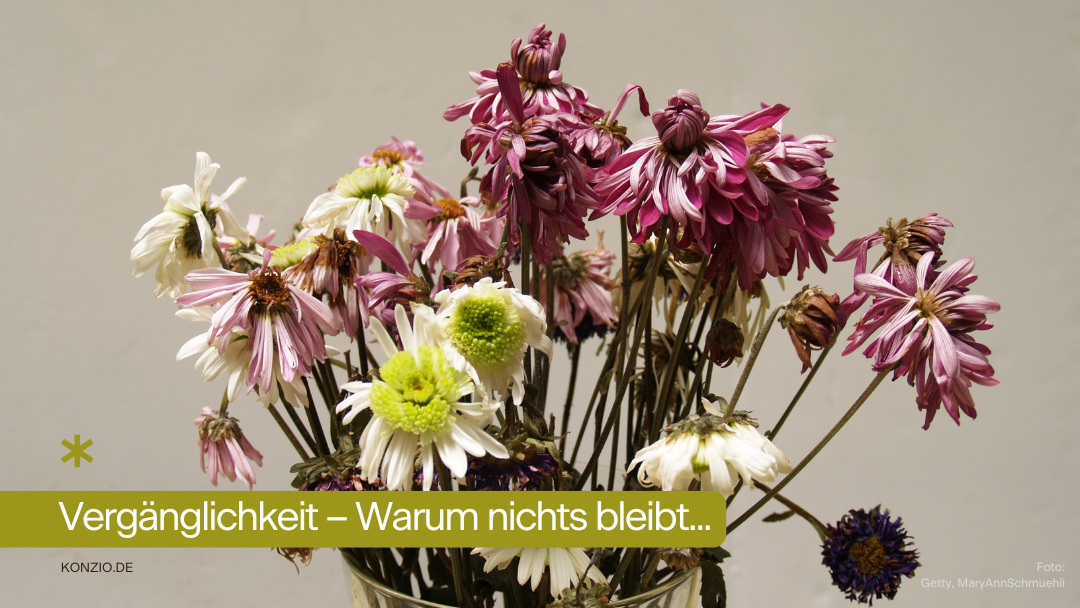 KONZIO Vergänglichkeit Blog Beitrag