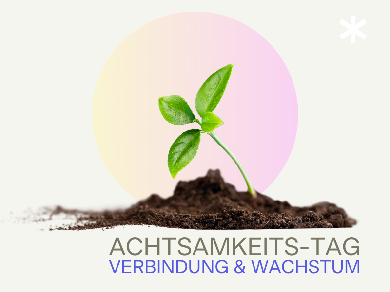 Achtsamkeit, Verbindung, Wachstum - KONZIO