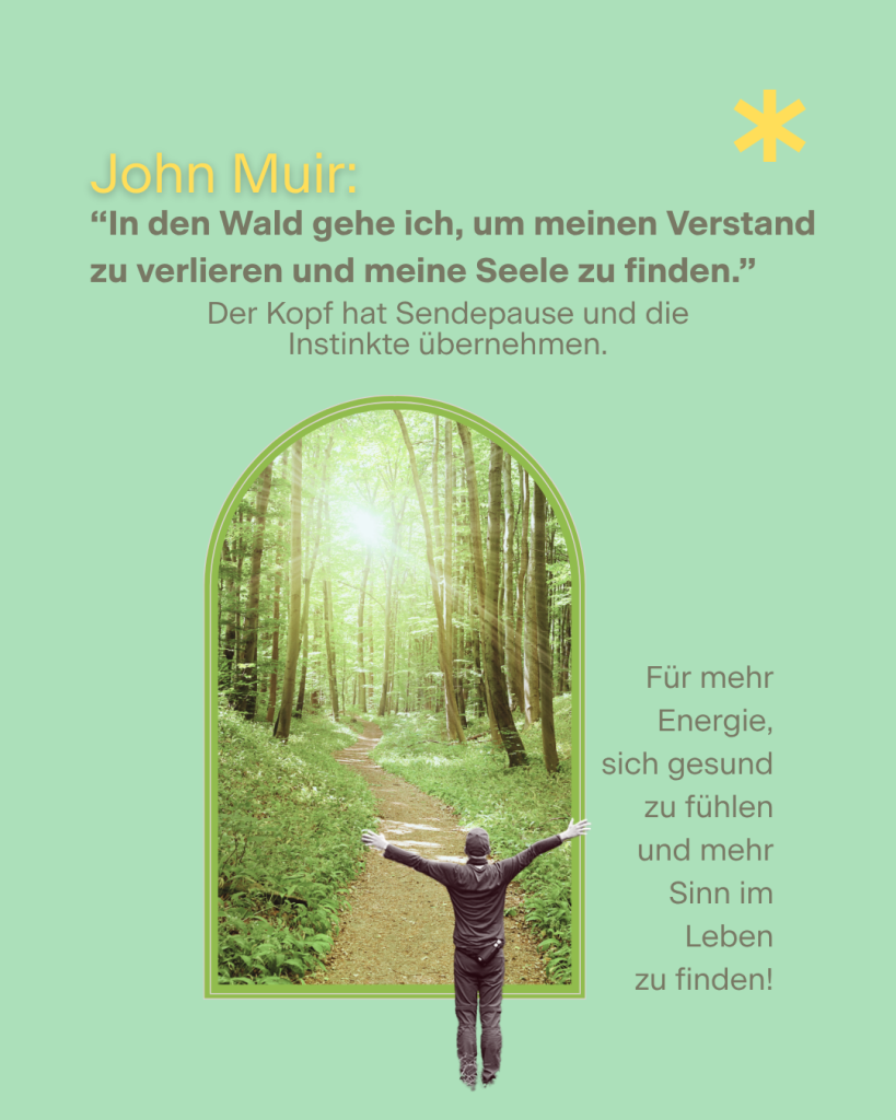 Waldbaden Westerwald KONZIO