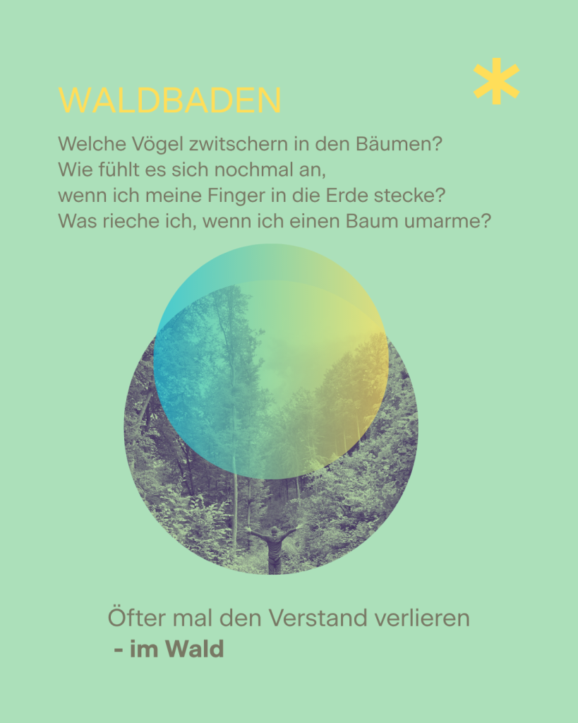 Waldbaden Westerwald KONZIO